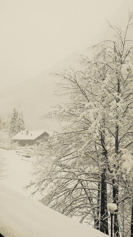 Residence Casa Dei Fiori Alagna Valsesia Dış mekan fotoğraf