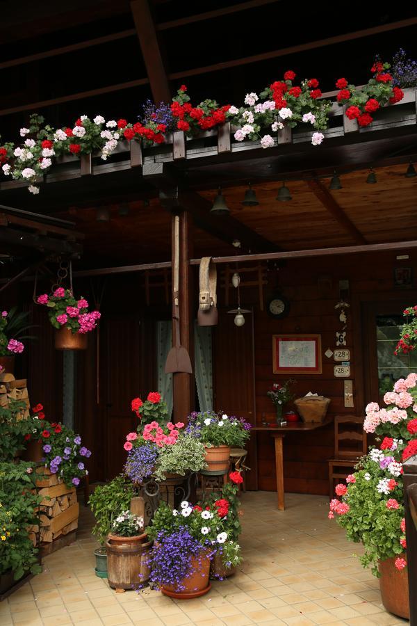 Residence Casa Dei Fiori Alagna Valsesia Dış mekan fotoğraf