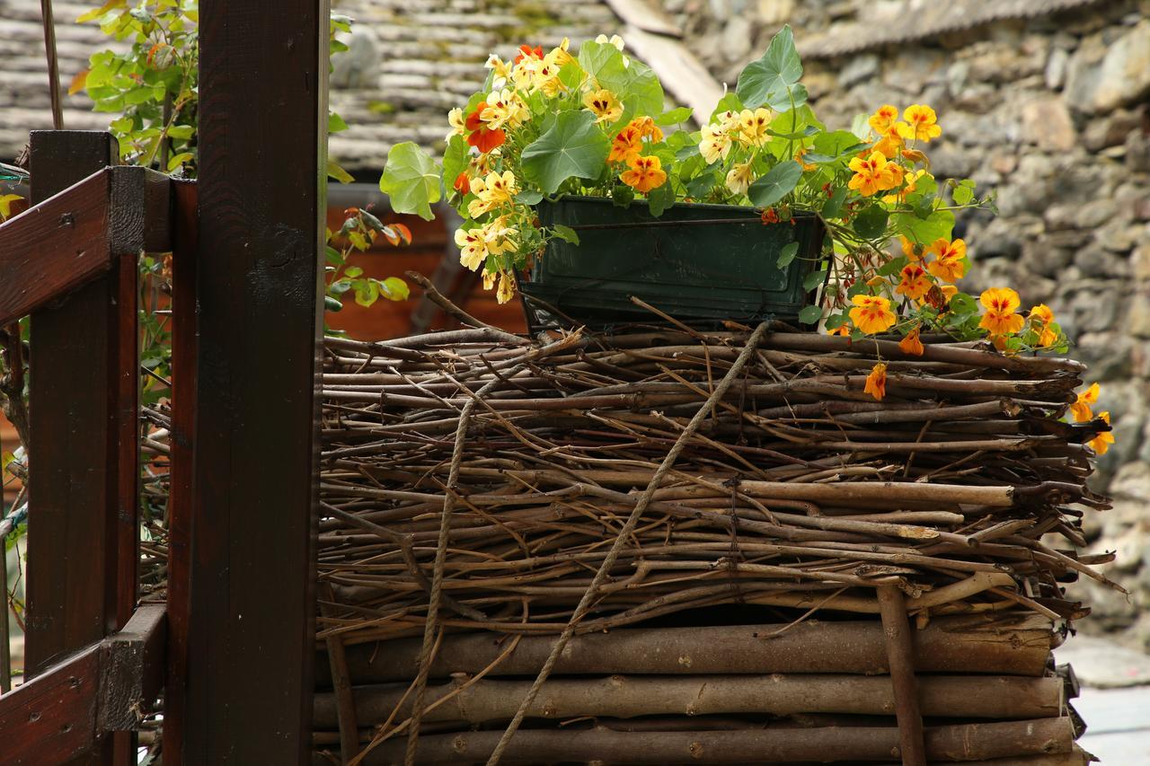 Residence Casa Dei Fiori Alagna Valsesia Dış mekan fotoğraf